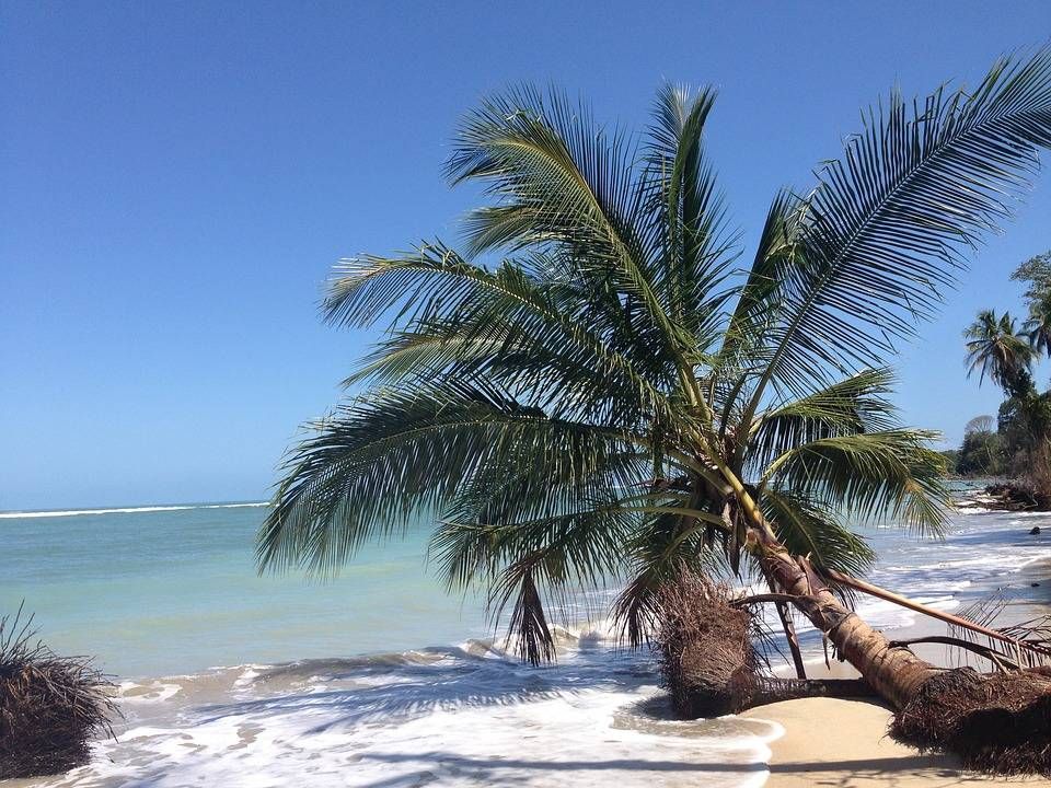 Los mejores hoteles del Caribe y La Fortuna