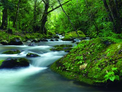 Majestic Costa Rica