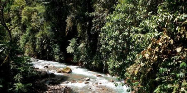 Costa Rica: Ein Guide für Anfänger (Teil 2)