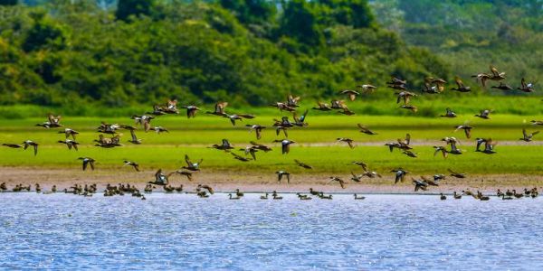 5 Razones para visitar Costa Rica durante la época lluviosa