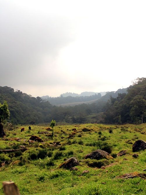 Juan Castro Blanco Nationalpark