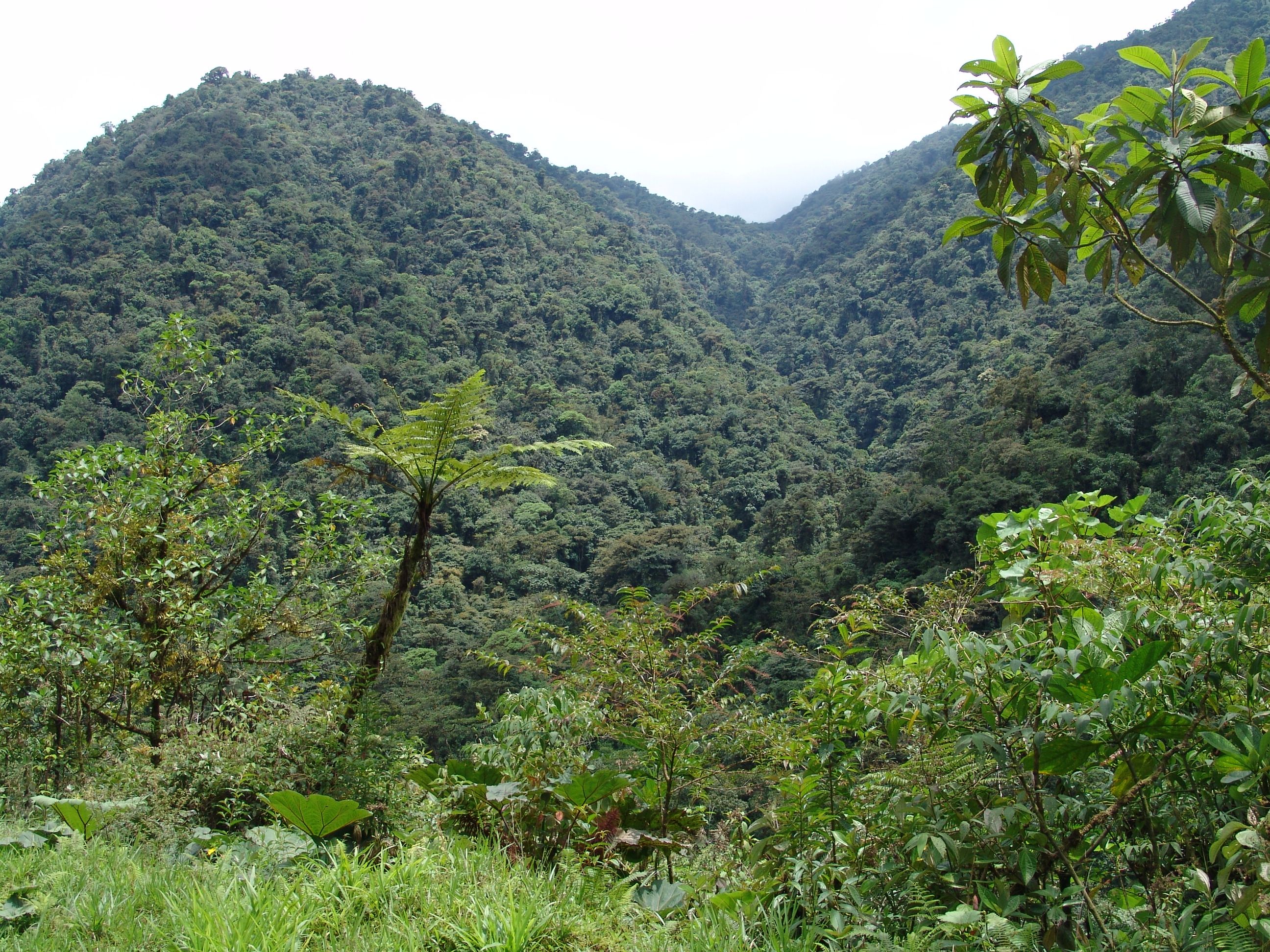 Parque Nacional Juan Castro Blanco