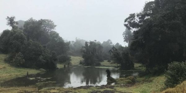 Senderismo Irazú - Turrialba