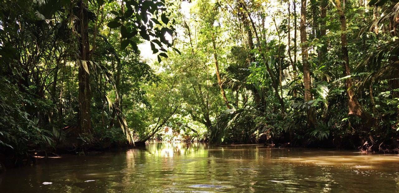 Tortuguero - der Amazonas Costa Ricas