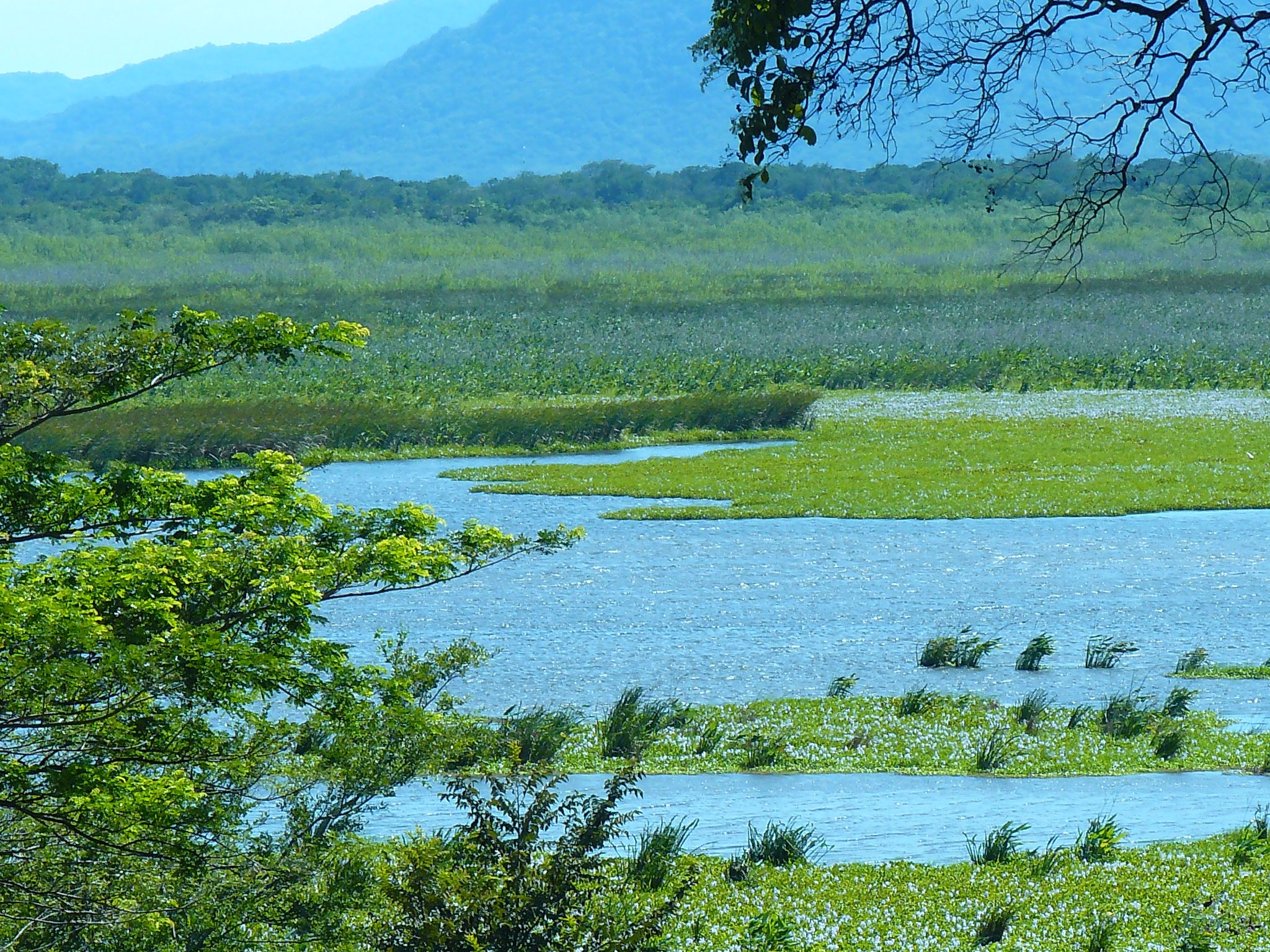 Parque Nacional Palo Verde