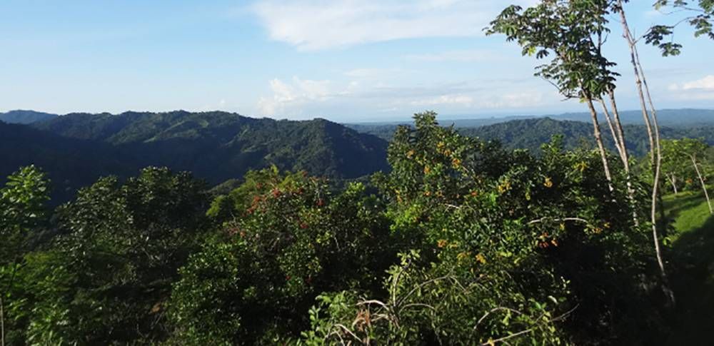 5 ideas para un viaje sostenible en Costa Rica