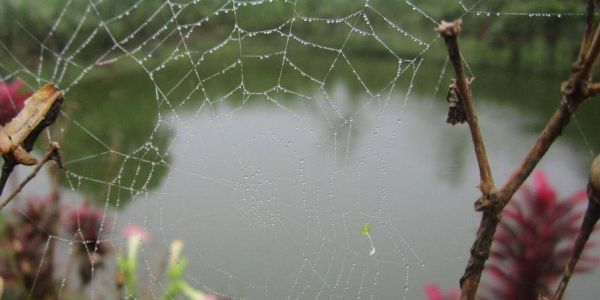 Zapotal: una mirada al turismo rural comunitario