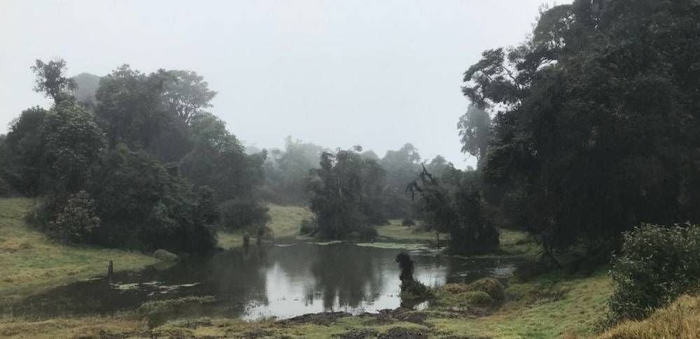 Senderismo Irazú - Turrialba