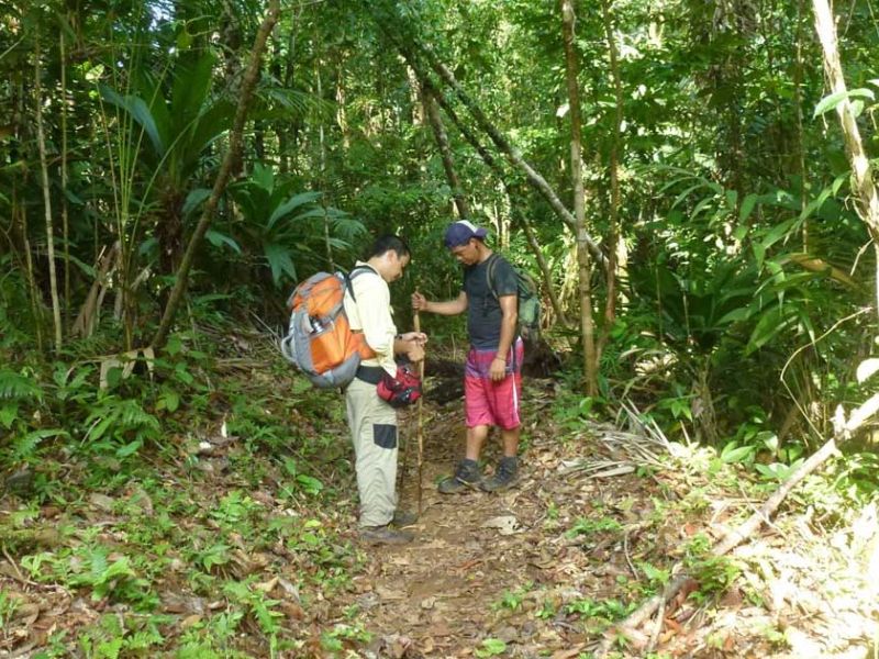 Corcovado Intense Jungle Trekking