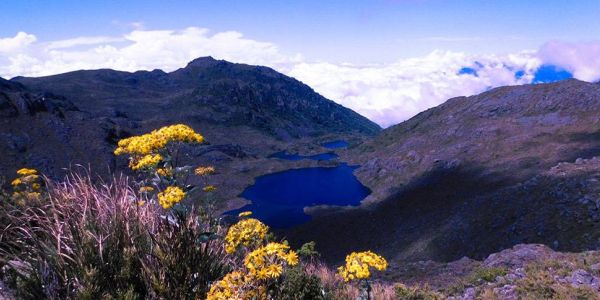 Das Erlebnis Chirripó - Eine Wanderung zum höchsten Punkt in Costa Rica