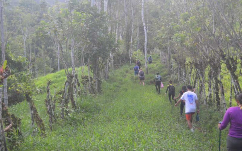 Trekking Turrialba Mollejones ARA Tours