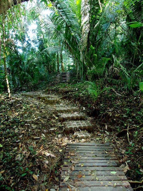 Cabo Blanco Absolute Nature Reserve