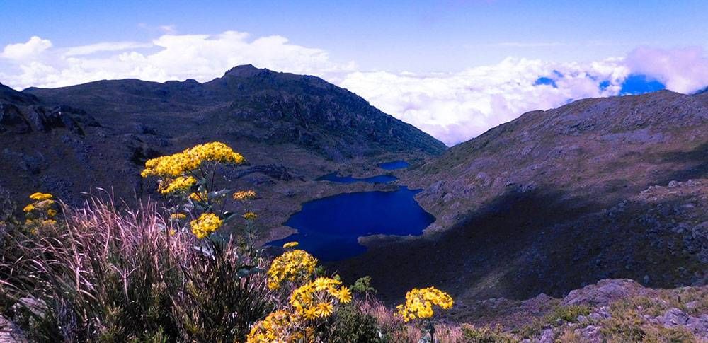 Experience Chirripó, a hike to the highest point of Costa Rica