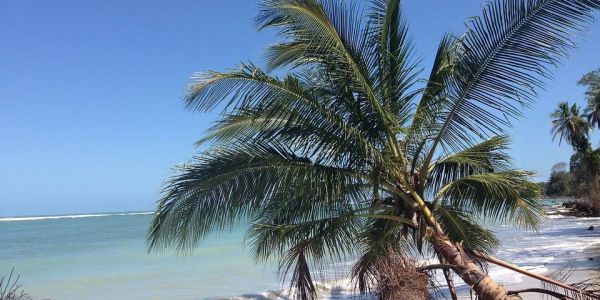Los mejores hoteles del Caribe y La Fortuna