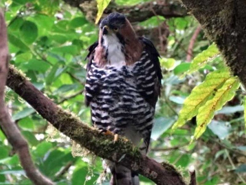Halbtagestour Vogelbeobachtung