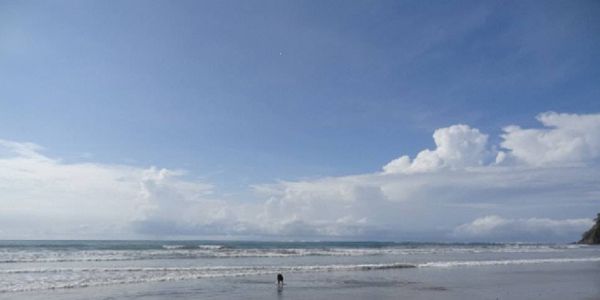 Sámara - ein besonderer Strandort in Costa Rica