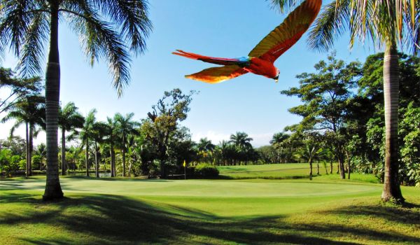 Los Delfines Golf & Country Club