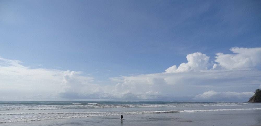 Sámara - ein besonderer Strandort in Costa Rica